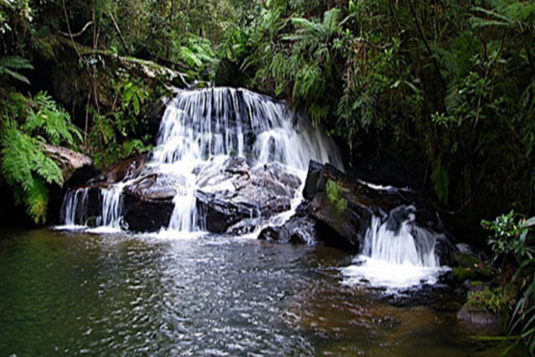 Andasibe - Madagascar